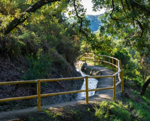 benahavis-homologa-sus-senderos