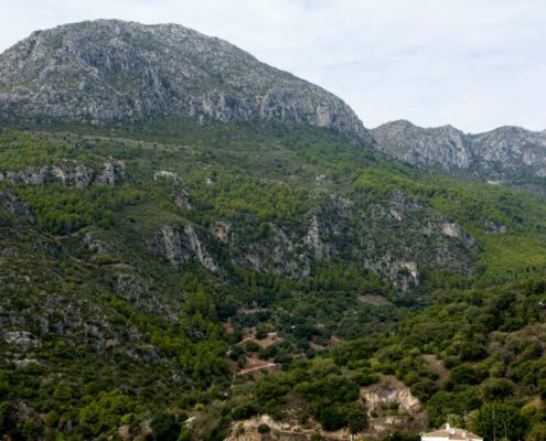 La-Universidad-de-Jaén-realiza-un-estudio-botánico-en-Casares