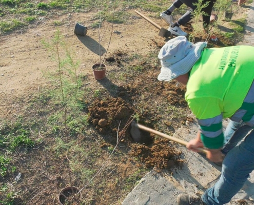 fundacion-aquae-plantara-800-arboles-en-manilva