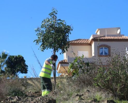 250-arboles-para-el-futuro-parque-Al-baytar