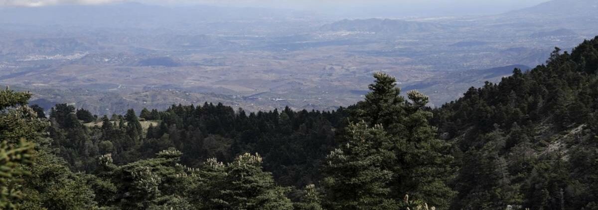 La-Sierra-de-las-Nieves-en-el-club-de-los-parques-nacionales