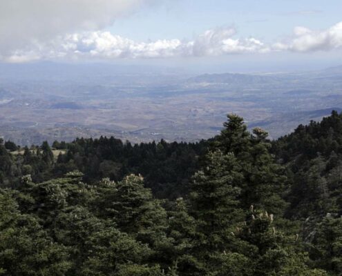 La-Sierra-de-las-Nieves-en-el-club-de-los-parques-nacionales