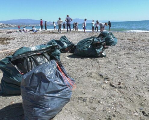 el-ceip-maicandil-organiza-una-limpieza-de-playas