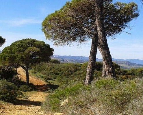 Proyecto-Camaleón-de-senderismo-y-educación-ambiental