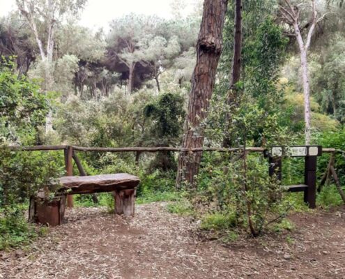 Ruta-por-Calahonda-el-Día-del-Medio-Ambiente