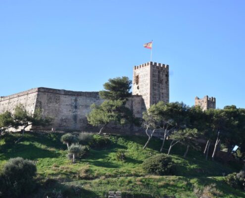 proyecto-apadrina-un-arbol-en-fuengirola