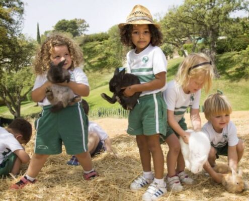 Colegio-Alborán-educar-en-un-entorno-natural