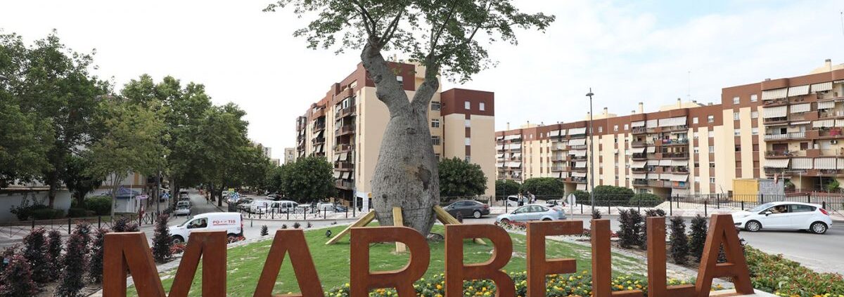 un-arbol-centenario-para-una-de-las-entradas-de-marbella