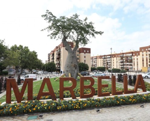 un-arbol-centenario-para-una-de-las-entradas-de-marbella