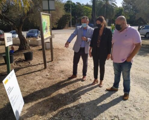 Mejora-de-los-pinares-de-Torremolinos-