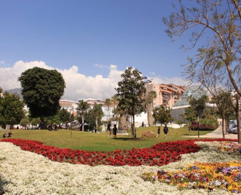 estepona-acoge-la-vi-feria-de-orquideas