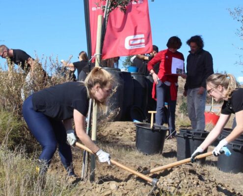 400-nuevos-arboles-para-mijas