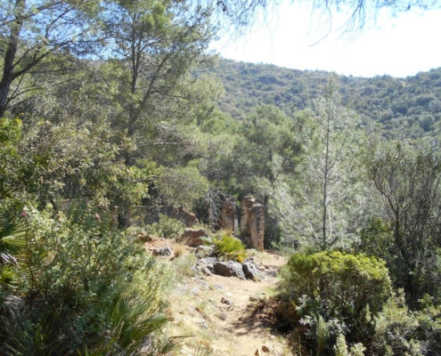 Futuro-Jardín-Botánico-de-Marbella