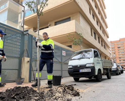 Avanza-la-repoblación-vegetal-urbana