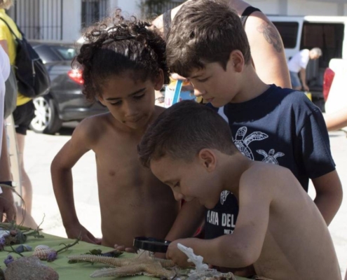 Aniversario-del-Día-del-Medio-Ambiente