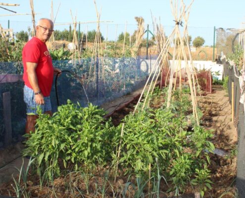 cuatro-nuevos-huertos-urbanos-para-mayores