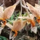 orquidea-con-fragancia-a-chocolate-blanco