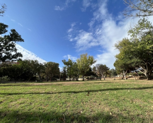 Renovación-del-Parque-Natural-de-Fuengirola