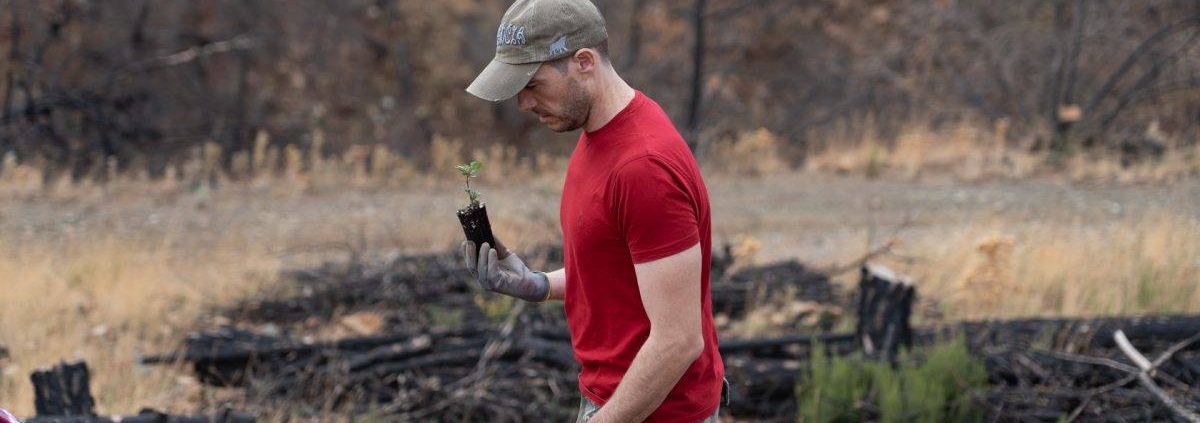 Voluntarios-de-IKEA-reforestan-Sierra-Bermeja